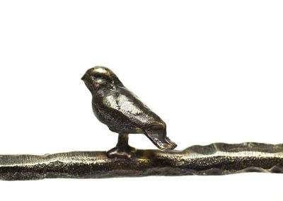 Diego Giacometti bird clup details